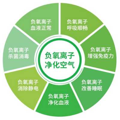 负氧离子是什么（负氧离子是什么意思）