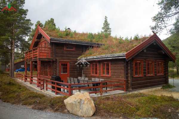 木屋建造厂家（木屋建造厂家排行榜前十名）