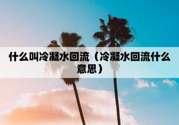 冷凝水是什么（冷凝水是什么水）