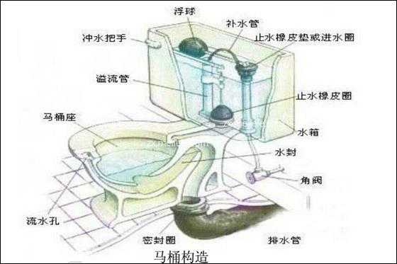 马桶水箱结构（马桶水箱结构图工作原理动画）