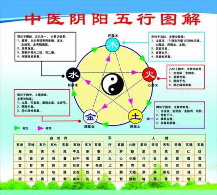 五行阴阳（五行阴阳图）