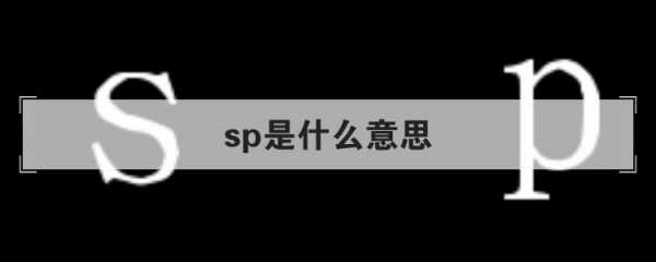 双p是什么意思（双sp是什么意思）