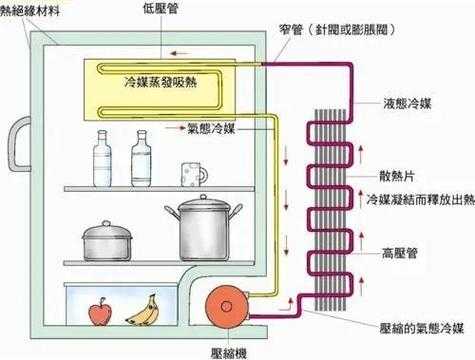 冰箱蒸发器图片（冰箱蒸发器图片冰箱的那个部位）