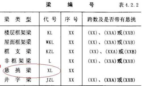 xl是什么梁（XL是什么梁的简称）