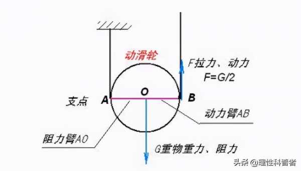 动滑轮省力原理（动滑轮省力原理和直径的关系）