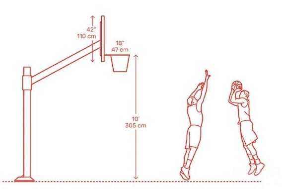 篮板上沿高度（标准篮板上沿高度）