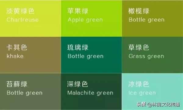 绿色配什么颜色（绿色配什么颜色最搭冬季）