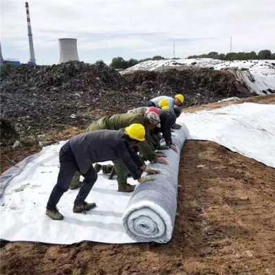 钠基膨润土防水毯（钠基膨润土防水毯施工规范）