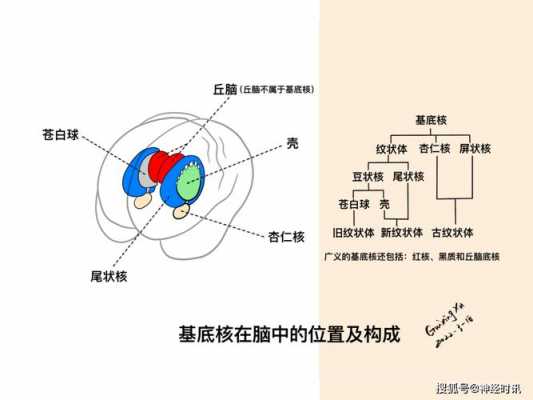 基底面积（基底面积和占地面积的区别）