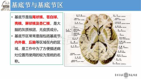 基底面积（基底面积和占地面积的区别）