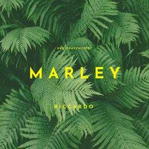 marley（marley的歌）