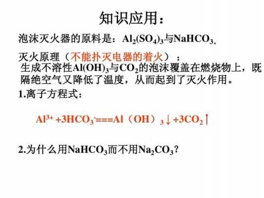 泡沫灭火器的原理（泡沫灭火器的原理方程式离子）