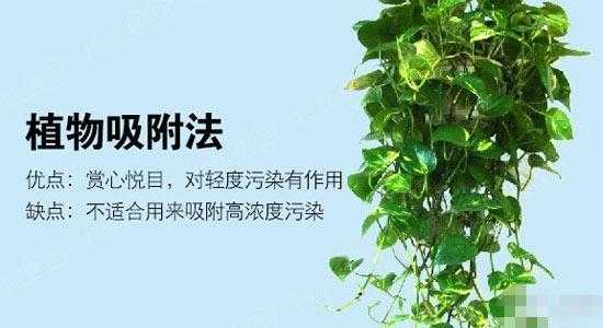 用什么去甲醛（用什么去甲醛最快最有效的方法）