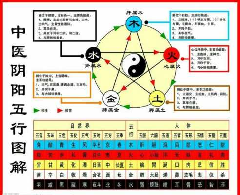 中五行（中医五行）