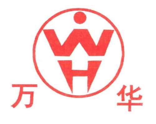 wh是什么（wh是什么品牌缩写）