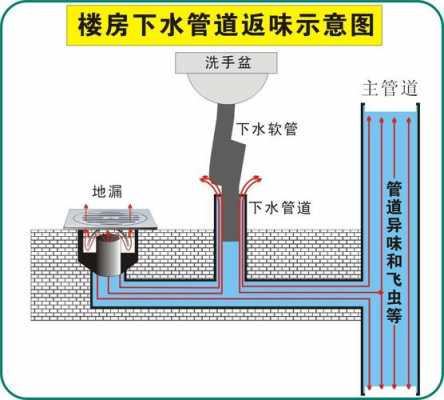 上排水（上排水可以直接排地漏吗）