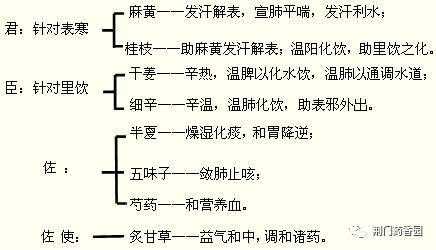 细辛用量（小青龙汤细辛用量）