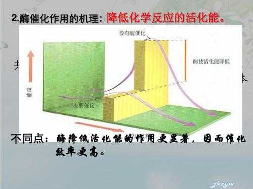 催化作用（催化作用是化学变化吗）