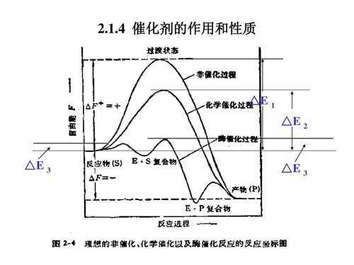 催化作用（催化作用是化学变化吗）