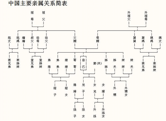 中国亲戚关系图（中国亲戚关系图谱）