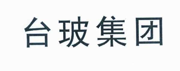 关于台玻集团的信息