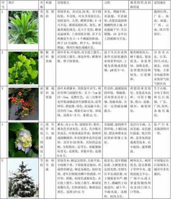 植物名字（1000个植物名字）