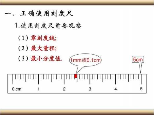 标尺（标尺是什么意思）