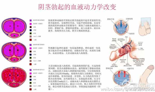 如何变硬（如何变硬气）