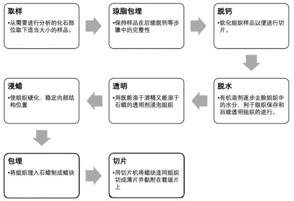 石蜡（石蜡切片制作过程）