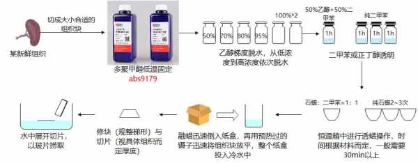 石蜡（石蜡切片制作过程）