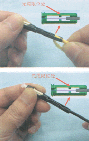 皮线光缆（皮线光缆冷接子接法视频）