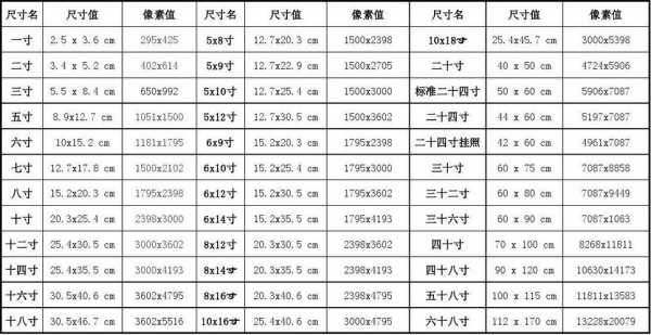 一寸照片尺寸比例（一寸照片尺寸像素）