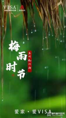 梅雨（梅雨季节）