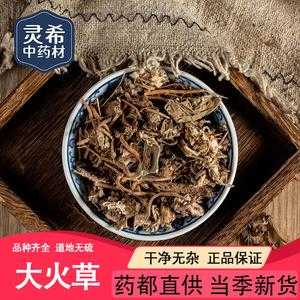 大火草（大火草根图片）