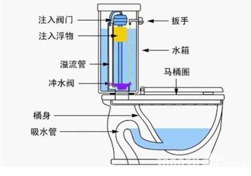 马桶怎么上（马桶怎么上大便）