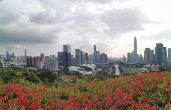 深圳莲花山（深圳莲花山公园地铁站哪个出口）