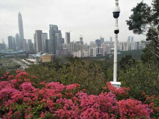 深圳莲花山（深圳莲花山公园地铁站哪个出口）