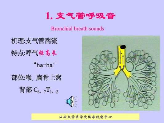 强高是什么意思（圈内强高是什么意思）