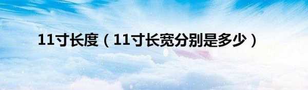 11寸多大（11寸多大厘米）