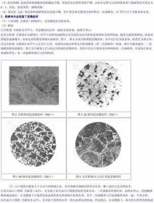 铁碳合金（铁碳合金平衡组织观察实验报告）