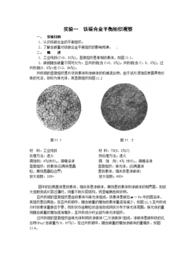 铁碳合金（铁碳合金平衡组织观察实验报告）