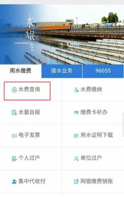 水费余额怎么查询（水费余额怎么查询缴费记录）