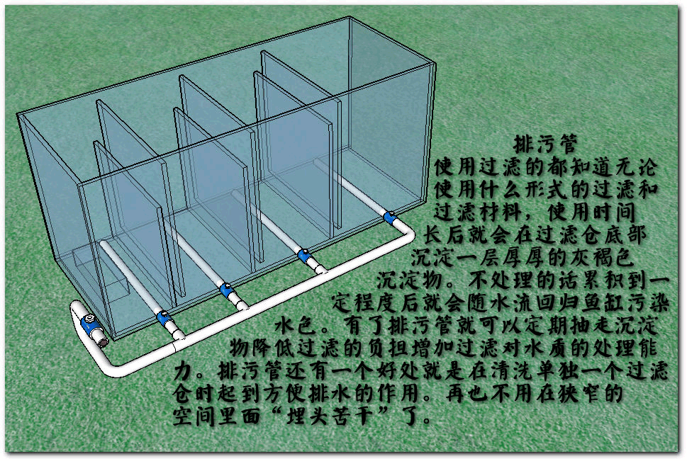 大型鱼缸（大型鱼缸过滤系统）