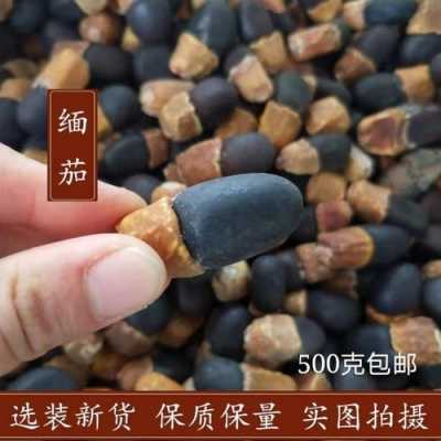 缅茄菩提（缅茄菩提子功效与作用图片）