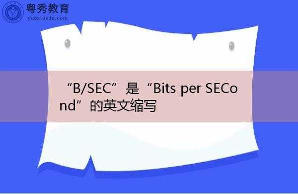 sec什么意思（second什么意思）