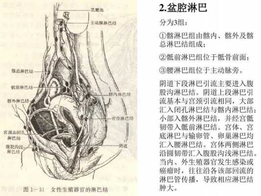 口要的简单介绍