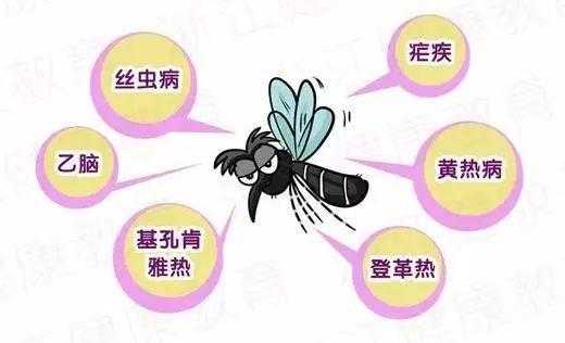 怎么防蚊子（怎么防蚊子最有效）