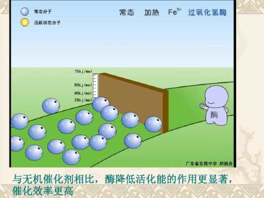 催化剂的作用（无机催化剂的作用）