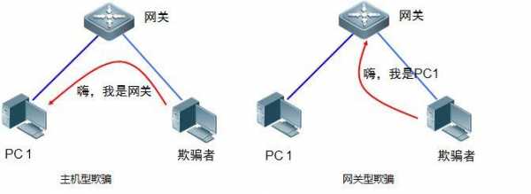 arp是什么（arp是什么氨基酸）