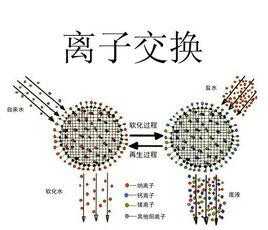 溶剂型粘合剂（溶剂型粘合剂法离子交换膜配方）